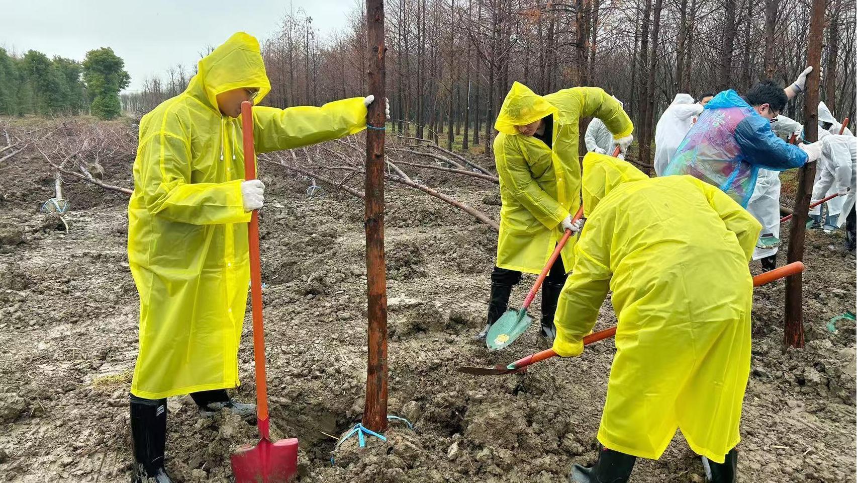 植樹節(jié) | 種下綠色希望，我們在行動！